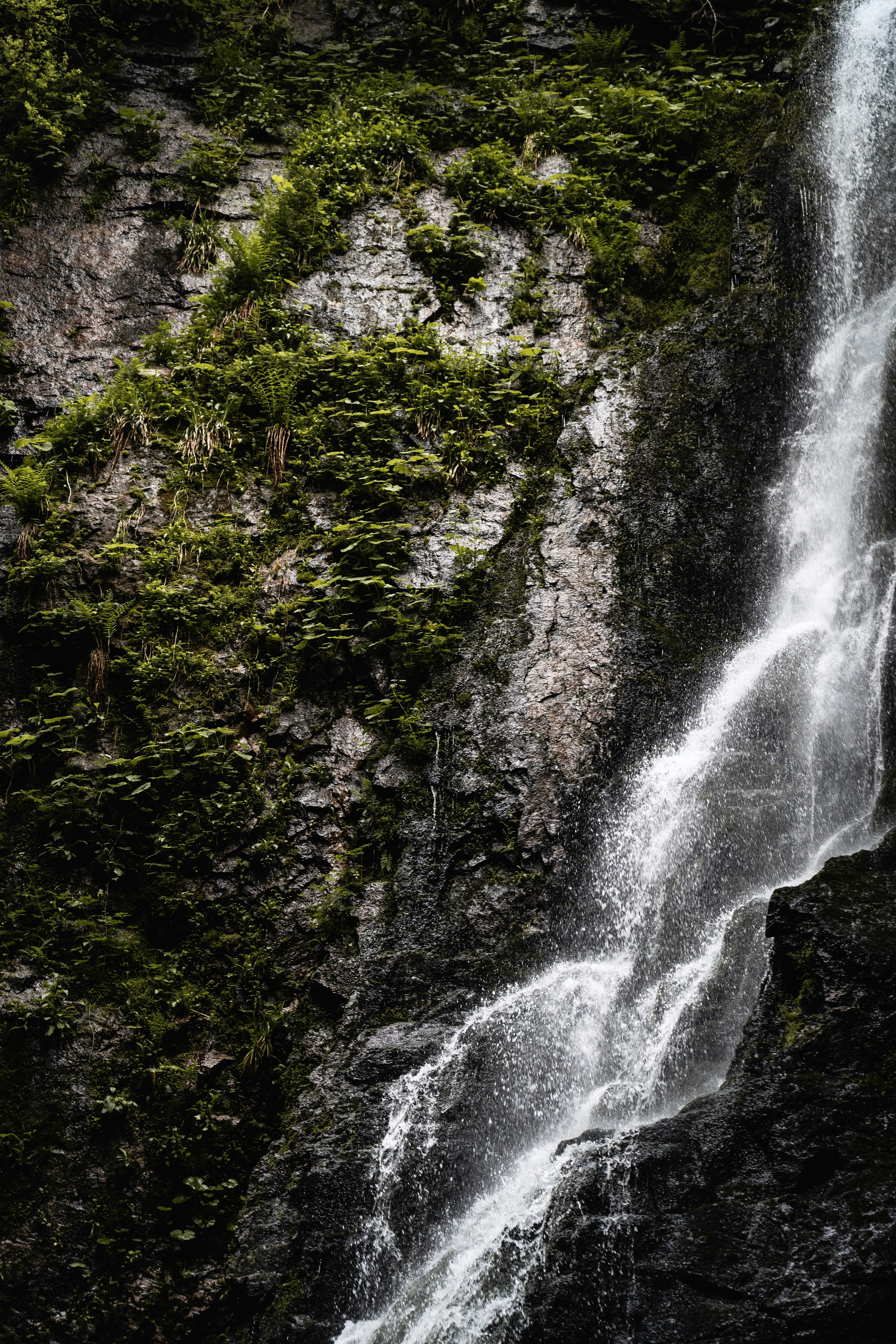 waterfalls in the middle of the forest